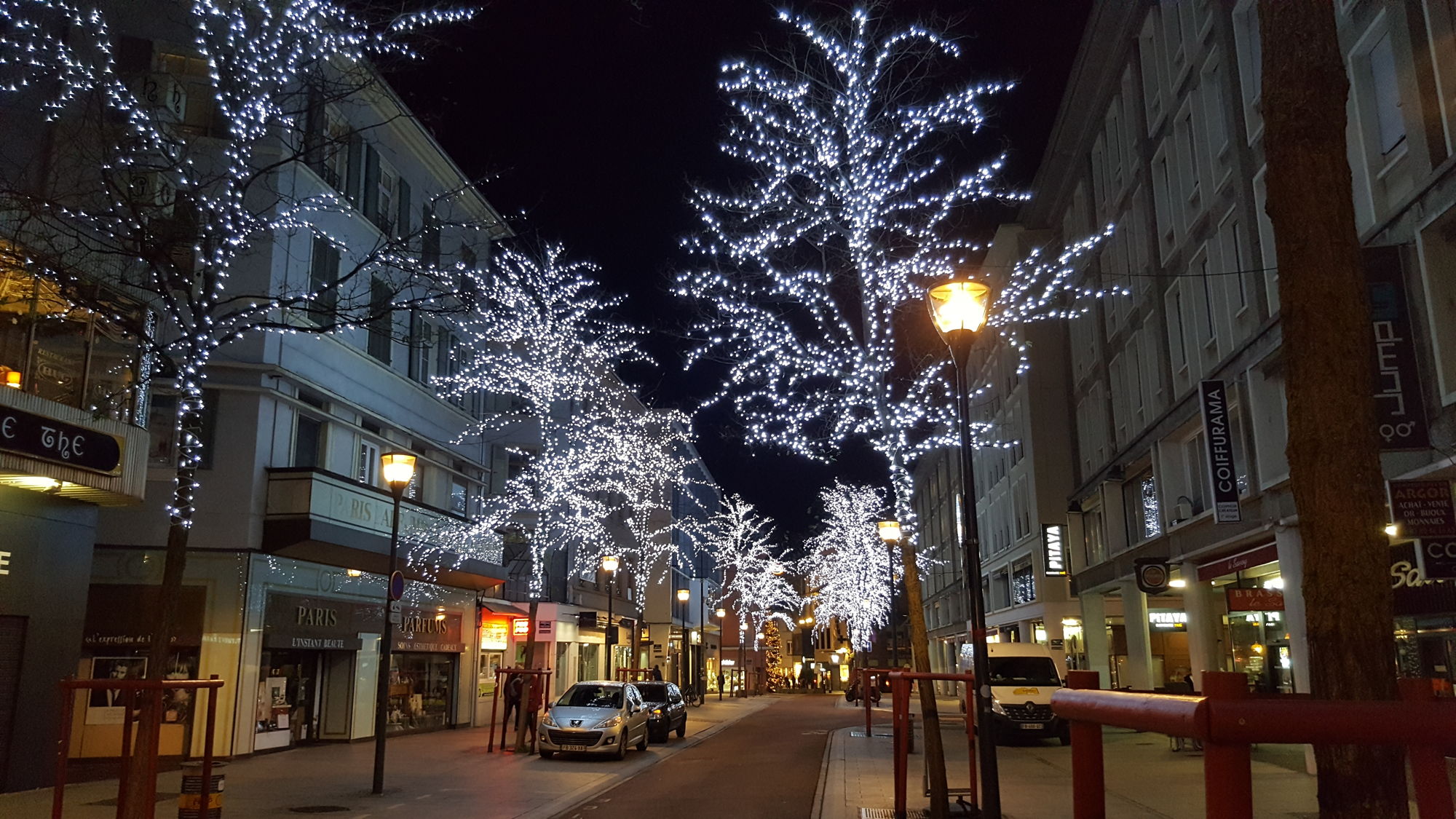galerie/2019_nouvelan.jpg
